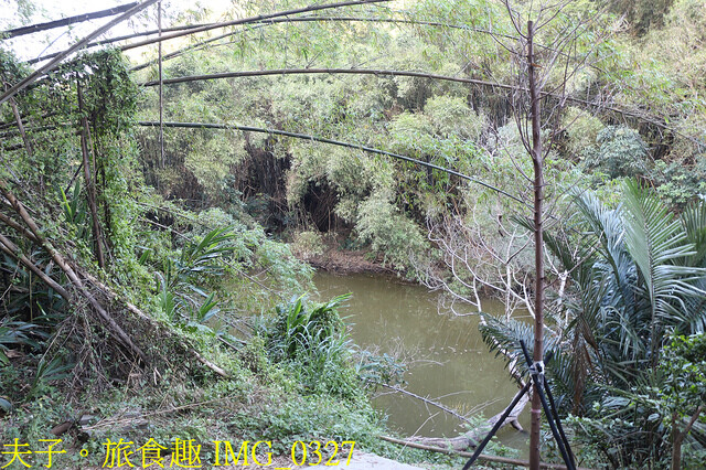 IMG_0327.jpg - 苗栗三灣雲霧嶺 20221114