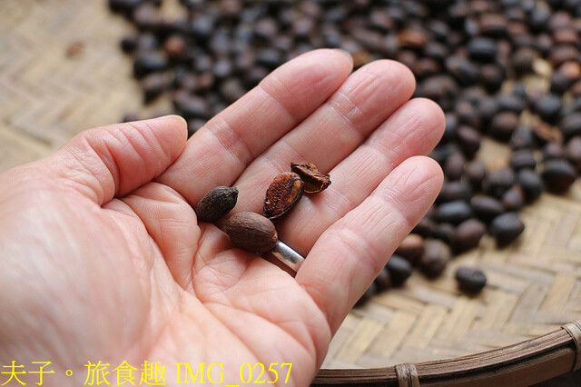 IMG_0257.jpg - 谷泉咖啡莊園 20221105