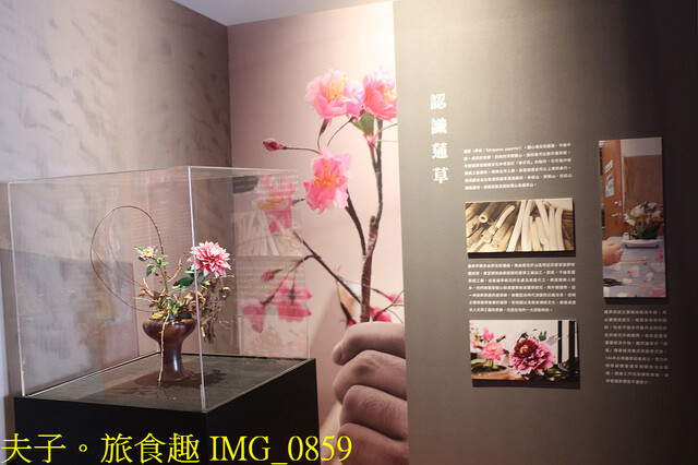 IMG_0859.jpg - 大湳森林公園 20221103