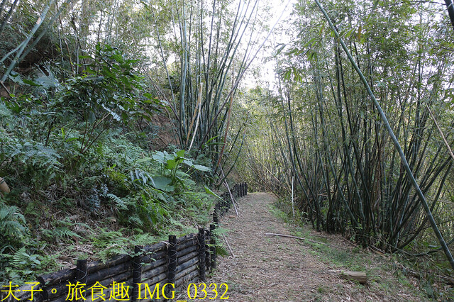 IMG_0332.jpg - 苗栗三灣雲霧嶺 20221114