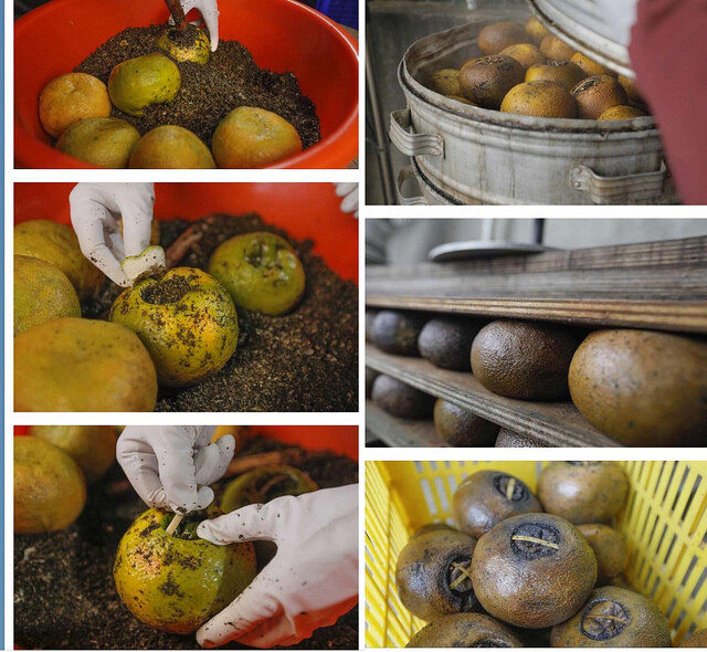 酸柑茶製作.jpg - 苗栗三灣雲霧嶺 20221114