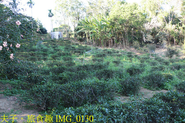 IMG_0130.jpg - 永和山茶廠 20221114