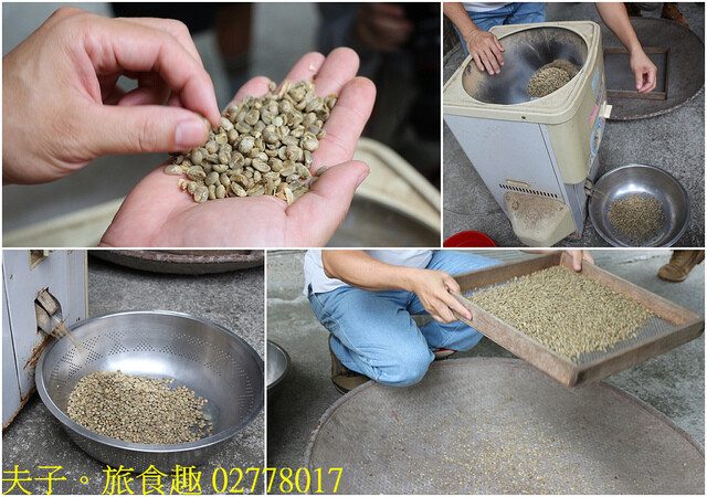 02778017.jpg - 谷泉咖啡莊園 20221105