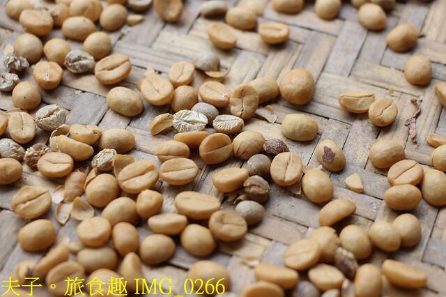 IMG_0266.jpg - 谷泉咖啡莊園 20221105