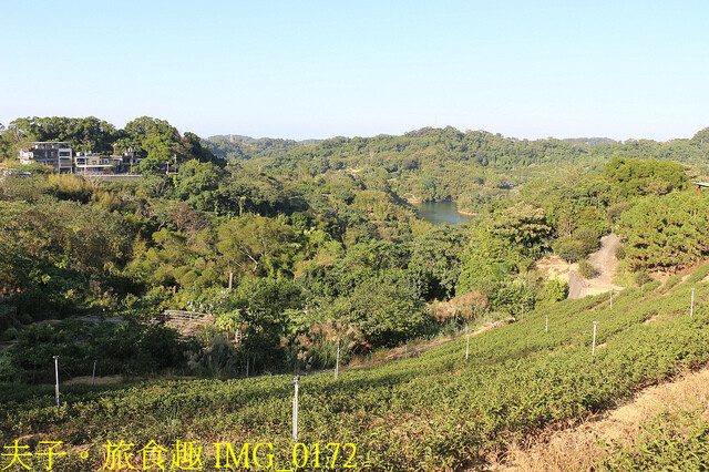 IMG_0172.jpg - 苗栗三灣雲霧嶺 20221114