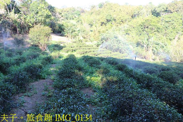 IMG_0134.jpg - 永和山茶廠 20221114