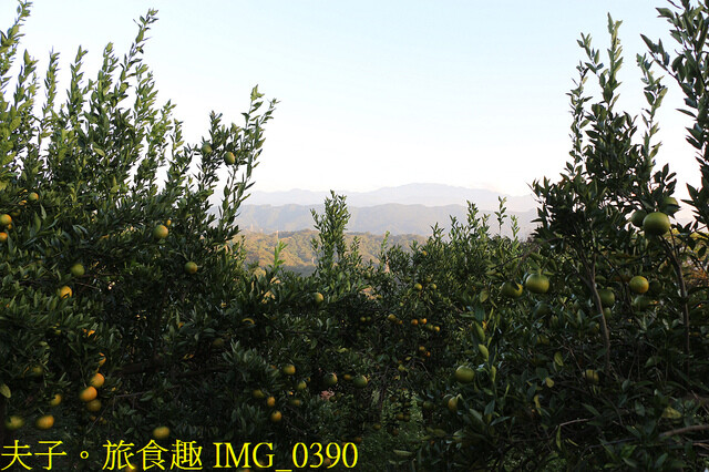 IMG_0390.jpg - 廖仁立農園 20221114