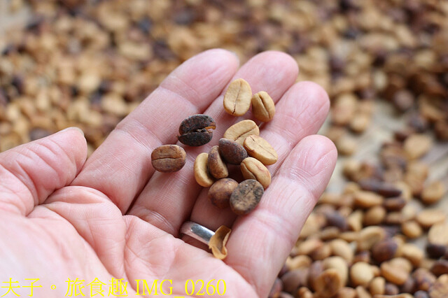 IMG_0260.jpg - 谷泉咖啡莊園 20221105
