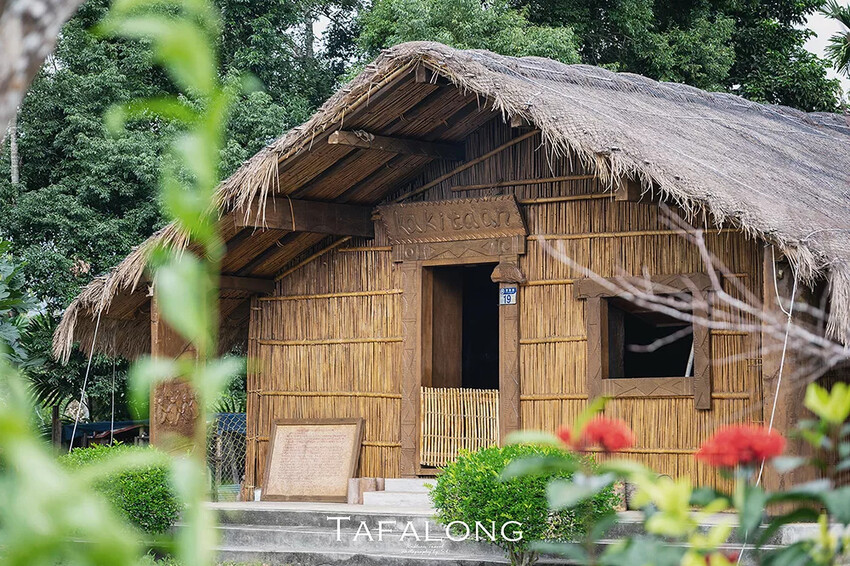 花蓮．光復 | 縱谷原遊會 | 走入太巴塱部落，享受紅糯米田野餐桌的旅程、感受阿美族原民氛圍