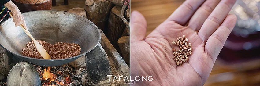 花蓮．光復 | 縱谷原遊會 | 走入太巴塱部落，享受紅糯米田野餐桌的旅程、感受阿美族原民氛圍