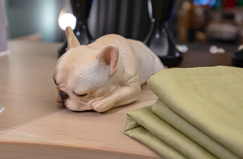 HOLD-ON舉重床古亭門市｜台北中正家具開箱心得｜床墊超舒服試躺完就立刻下單一張經典款的帶回家睡，美觀又舒適物超所值的床墊推薦 - 卡爾茗 C.L.M.