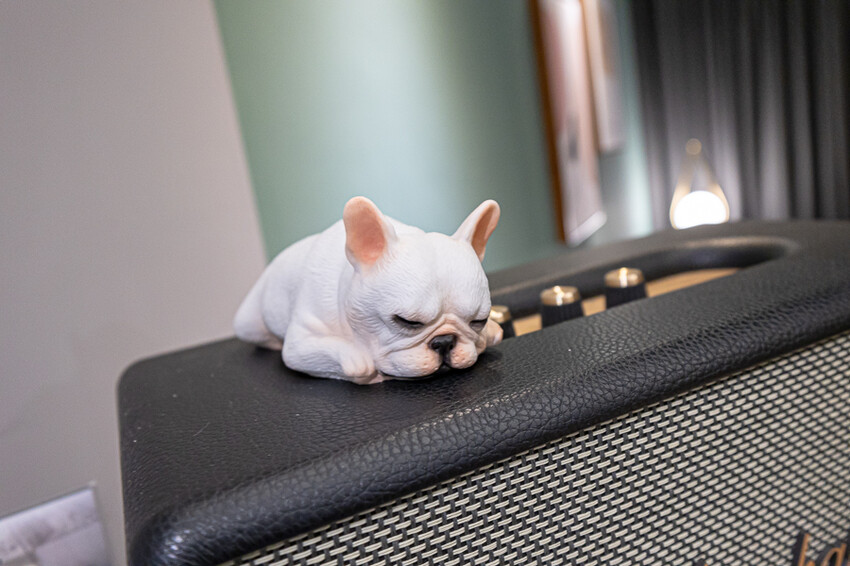 HOLD-ON舉重床古亭門市｜台北中正家具開箱心得｜床墊超舒服試躺完就立刻下單一張經典款的帶回家睡，美觀又舒適物超所值的床墊推薦 - 卡爾茗 C.L.M.