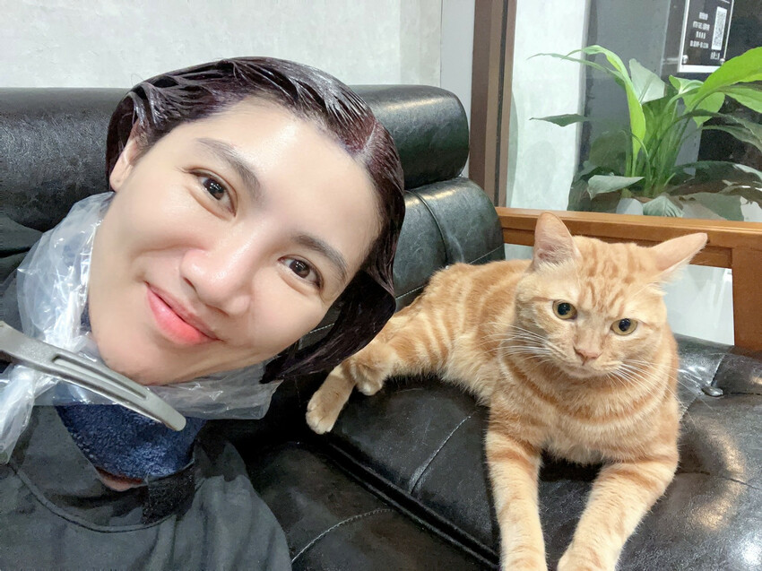 【美髮】Karso hair 客製化髮型服務，變身更美的自己！喵喵做陪，超療癒！【台師大美髮】【台電大樓髮型】台師大染燙推薦