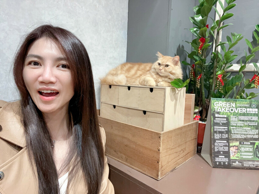 【美髮】Karso hair 客製化髮型服務，變身更美的自己！喵喵做陪，超療癒！【台師大美髮】【台電大樓髮型】台師大染燙推薦