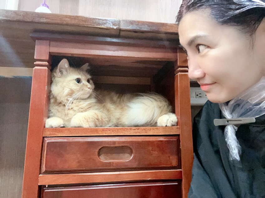 【美髮】Karso hair 客製化髮型服務，變身更美的自己！喵喵做陪，超療癒！【台師大美髮】【台電大樓髮型】台師大染燙推薦