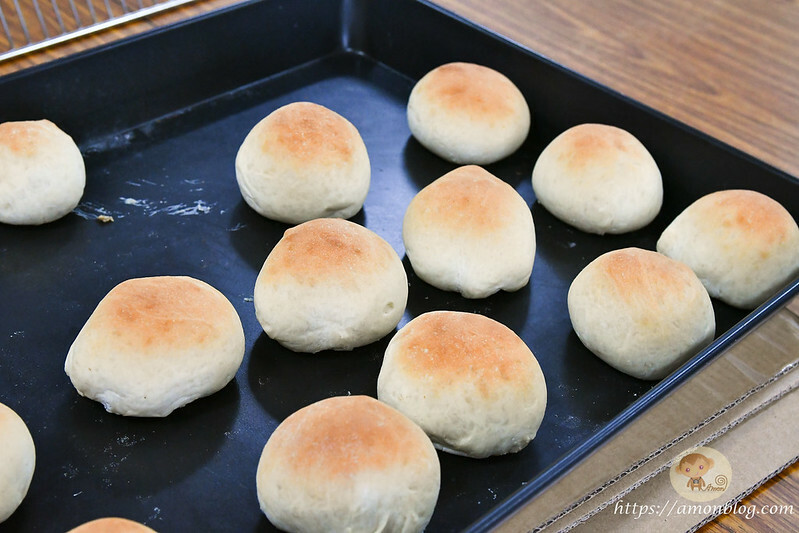 嘉義一日遊推薦|嘉義深度旅遊景點懶人包，4個親子私房景點，好瓜造智慧農場、大溪社區、紅磚厝社區、精忠社