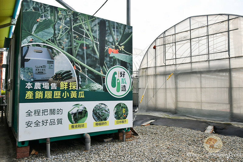 嘉義一日遊推薦|嘉義深度旅遊景點懶人包，4個親子私房景點，好瓜造智慧農場、大溪社區、紅磚厝社區、精忠社