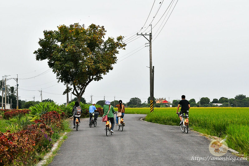 嘉義一日遊推薦|嘉義深度旅遊景點懶人包，4個親子私房景點，好瓜造智慧農場、大溪社區、紅磚厝社區、精忠社