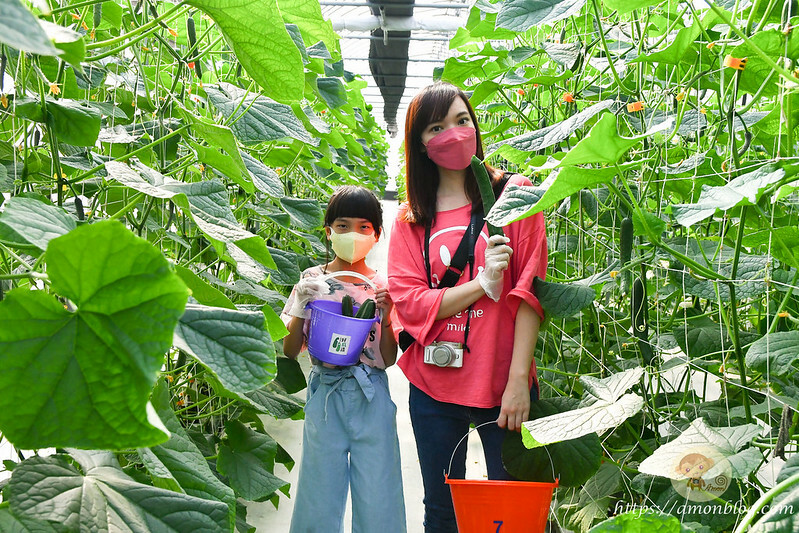 嘉義一日遊推薦|嘉義深度旅遊景點懶人包，4個親子私房景點，好瓜造智慧農場、大溪社區、紅磚厝社區、精忠社