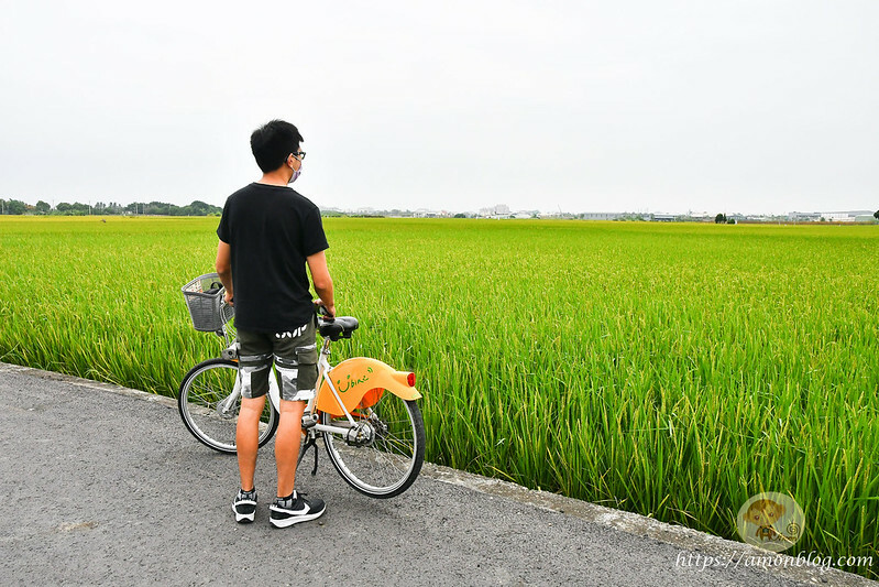 嘉義一日遊推薦|嘉義深度旅遊景點懶人包，4個親子私房景點，好瓜造智慧農場、大溪社區、紅磚厝社區、精忠社