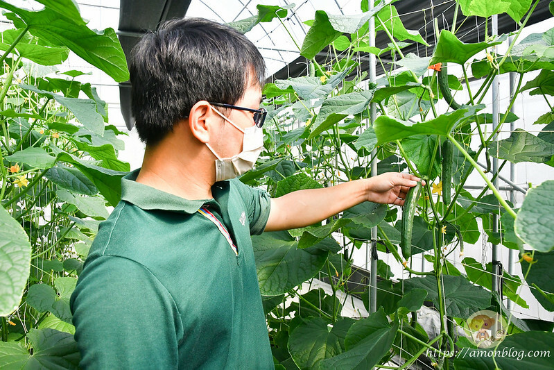 嘉義一日遊推薦|嘉義深度旅遊景點懶人包，4個親子私房景點，好瓜造智慧農場、大溪社區、紅磚厝社區、精忠社