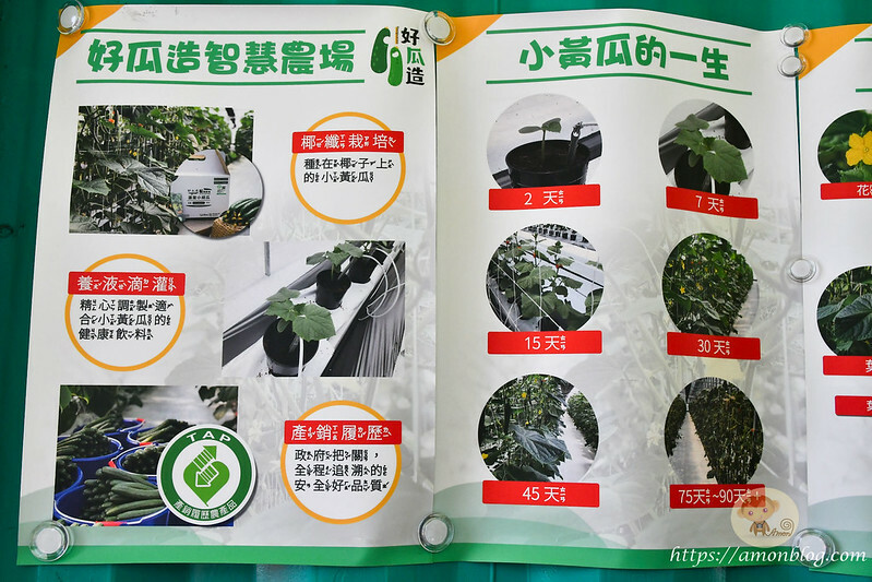 嘉義一日遊推薦|嘉義深度旅遊景點懶人包，4個親子私房景點，好瓜造智慧農場、大溪社區、紅磚厝社區、精忠社