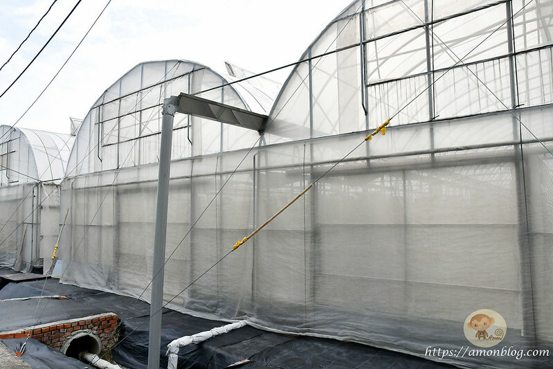 嘉義一日遊推薦|嘉義深度旅遊景點懶人包，4個親子私房景點，好瓜造智慧農場、大溪社區、紅磚厝社區、精忠社