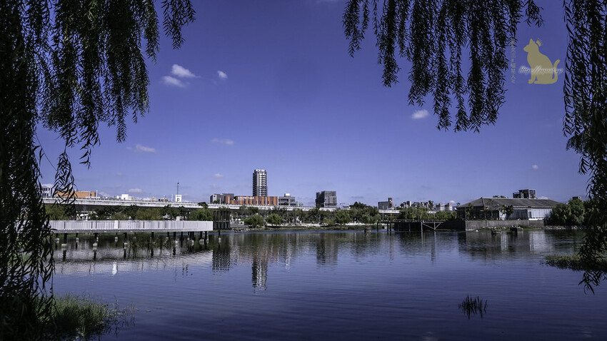 台中景點　湧泉公園 －台糖湖濱生態園區 帝國製糖廠 萬坪大公園裡的日本歷史建築