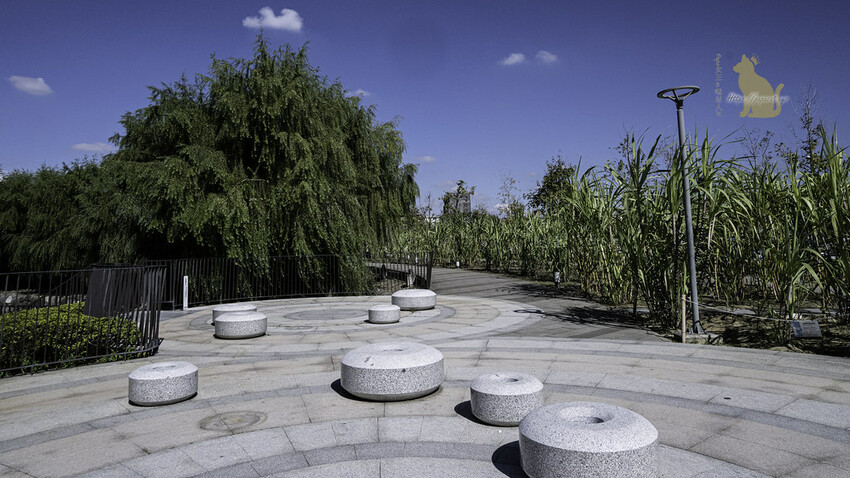 台中景點　湧泉公園 －台糖湖濱生態園區 帝國製糖廠 萬坪大公園裡的日本歷史建築