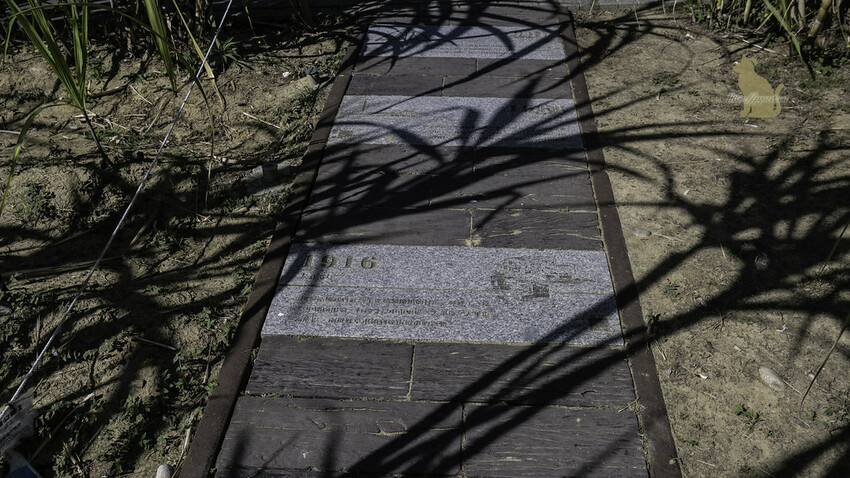 台中景點　湧泉公園 －台糖湖濱生態園區 帝國製糖廠 萬坪大公園裡的日本歷史建築