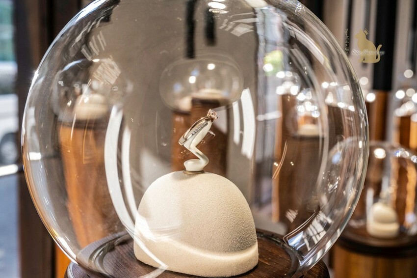 台中婚戒 ｜飾品  IR 飾品專賣 刻劃粗曠感老宅裡的飾品店…這裡不是咖啡館 ，免費喝咖啡