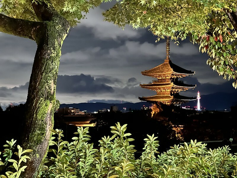 【亞洲,日本,京都】French cafe CHASEN 高台寺;意外發現的甜點店,窗外還能看到京都夜景(法觀寺八坂塔)