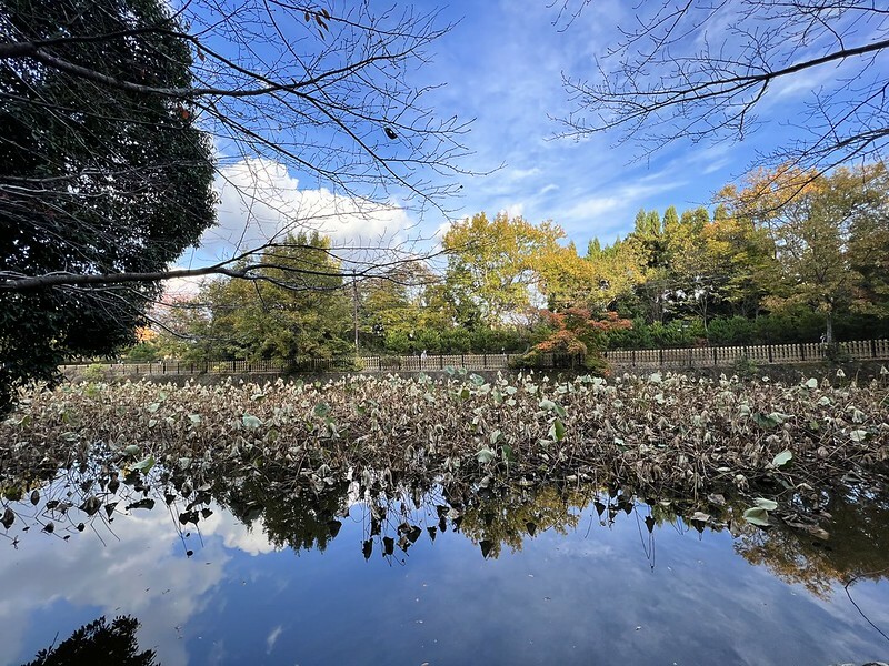 【亞洲，日本，京都】御髮神社，全日本唯一的頭髮神社。（2022日本旅遊/疫情後的旅行/嵐山旅遊）