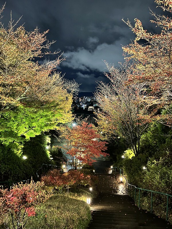 【亞洲,日本,京都】French cafe CHASEN 高台寺;意外發現的甜點店,窗外還能看到京都夜景(法觀寺八坂塔)