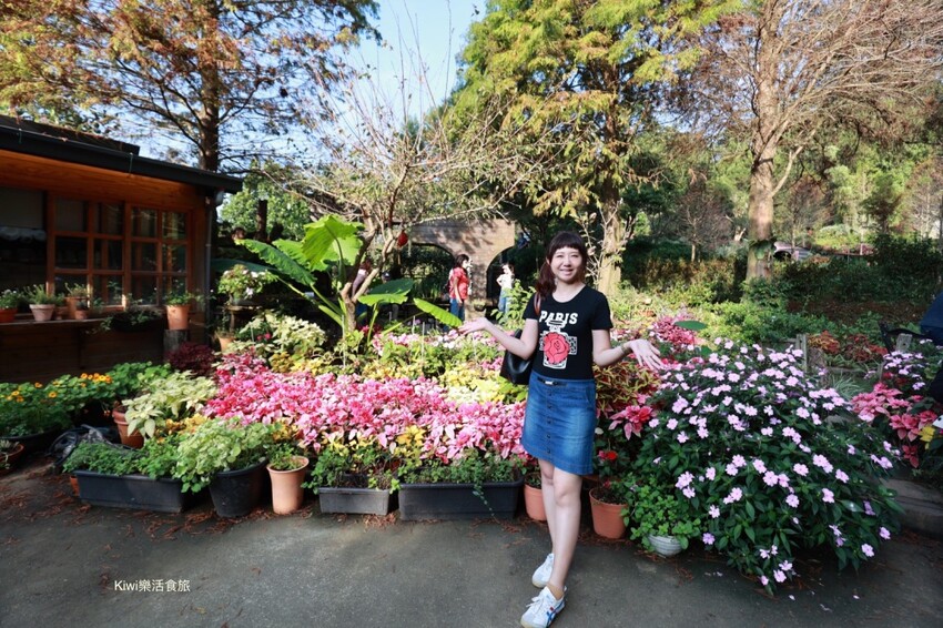 苗栗一日遊|跨縣市玩苗栗3個景點3個美食,苗栗景點大玩銅鑼杭菊季.三義私房景點.大湖泡湯玩不完!