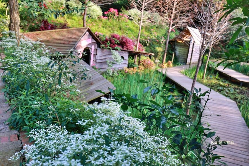 苗栗一日遊|跨縣市玩苗栗3個景點3個美食,苗栗景點大玩銅鑼杭菊季.三義私房景點.大湖泡湯玩不完!