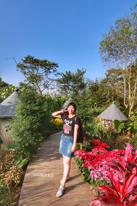 苗栗一日遊|跨縣市玩苗栗3個景點3個美食,苗栗景點大玩銅鑼杭菊季.三義私房景點.大湖泡湯玩不完!