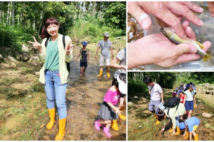 苗栗一日遊|跨縣市玩苗栗3個景點3個美食,苗栗景點大玩銅鑼杭菊季.三義私房景點.大湖泡湯玩不完!