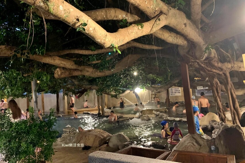 苗栗一日遊|跨縣市玩苗栗3個景點3個美食,苗栗景點大玩銅鑼杭菊季.三義私房景點.大湖泡湯玩不完!