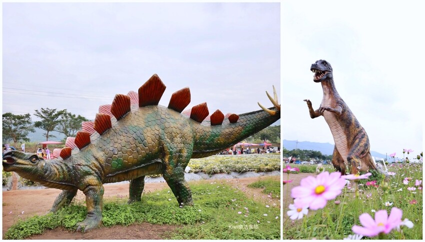 苗栗一日遊|跨縣市玩苗栗3個景點3個美食,苗栗景點大玩銅鑼杭菊季.三義私房景點.大湖泡湯玩不完!