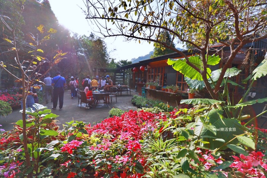 苗栗一日遊|跨縣市玩苗栗3個景點3個美食,苗栗景點大玩銅鑼杭菊季.三義私房景點.大湖泡湯玩不完!