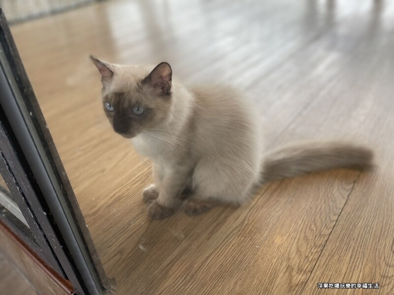 張家的樹園12.jpg 張家的樹園12.jpg