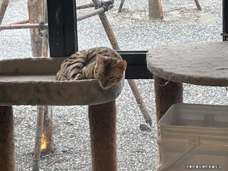 張家的樹園11.jpg 張家的樹園11.jpg