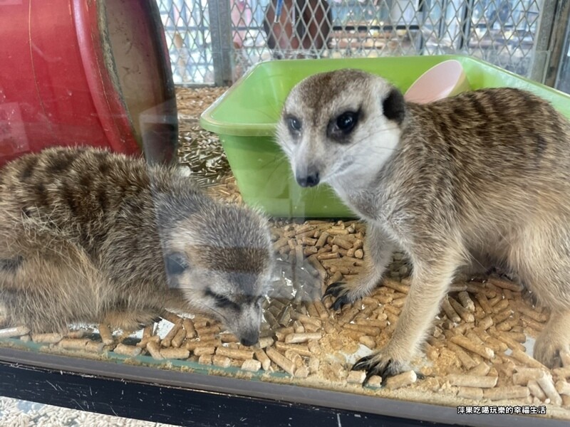 張家的樹園10.jpg 張家的樹園10.jpg