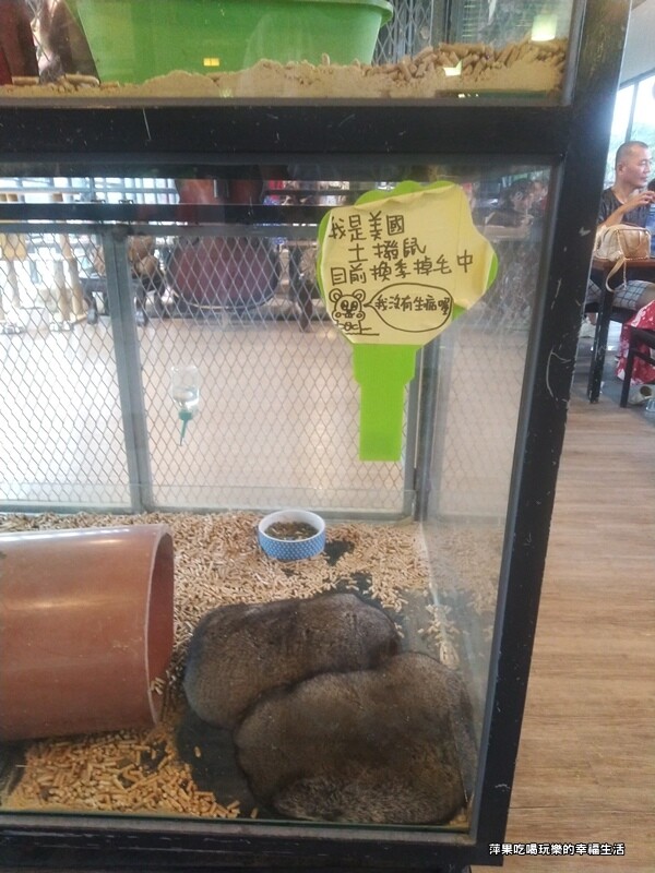 張家的樹園13.jpg 張家的樹園13.jpg