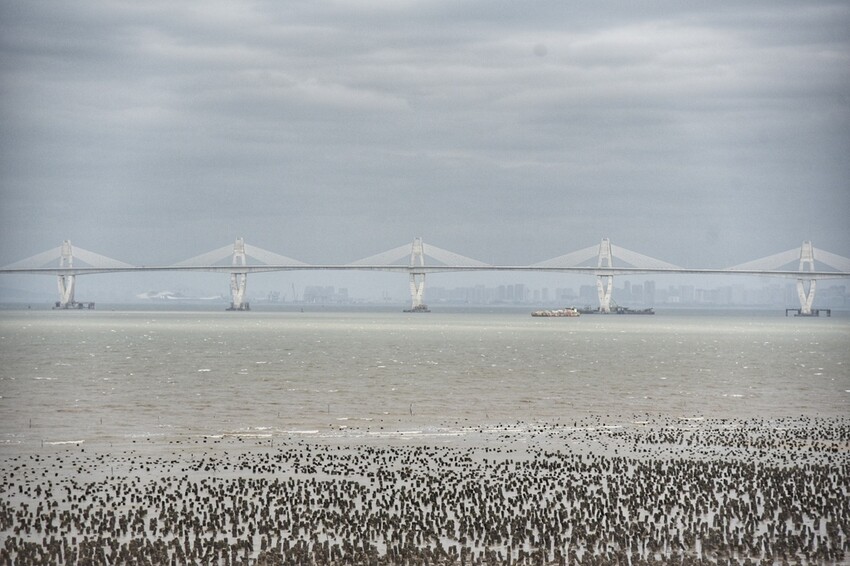 2022冬遊金門|金門三天兩夜吃喝玩樂大推薦 金門第一租車品牌 金豐租車優質服務 金門大橋開通現場直擊!西莉亞玩樂人生 105.jpeg