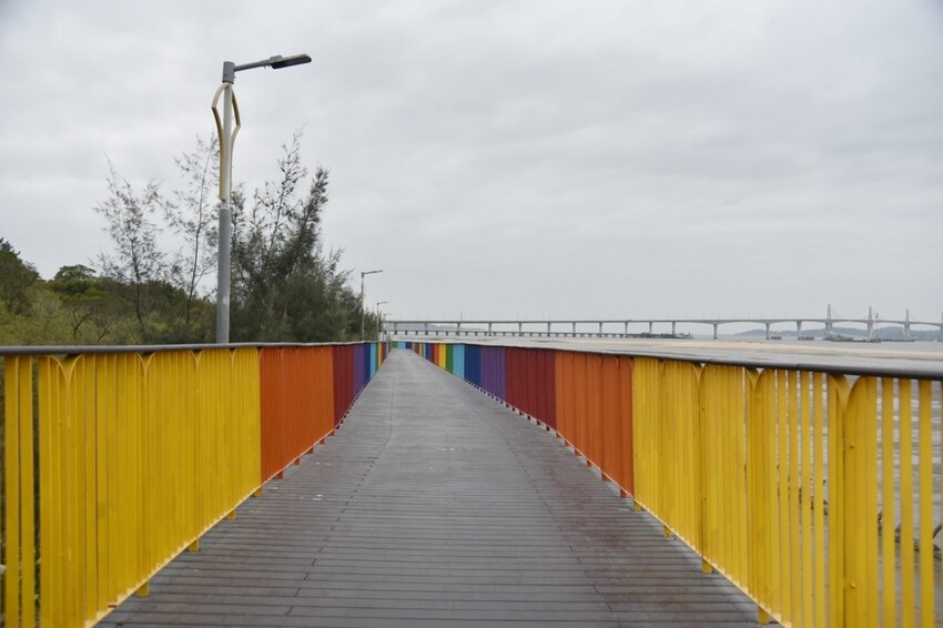 2022冬遊金門|金門三天兩夜吃喝玩樂大推薦 金門第一租車品牌 金豐租車優質服務 金門大橋開通現場直擊!西莉亞玩樂人生 059.jpeg