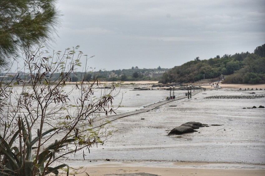 2022冬遊金門|金門三天兩夜吃喝玩樂大推薦 金門第一租車品牌 金豐租車優質服務 金門大橋開通現場直擊!西莉亞玩樂人生 103.jpeg