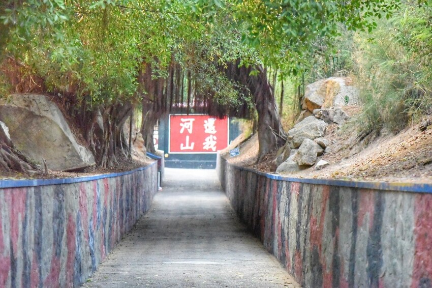 2022冬遊金門|金門三天兩夜吃喝玩樂大推薦 金門第一租車品牌 金豐租車優質服務 金門大橋開通現場直擊!西莉亞玩樂人生 030.jpeg