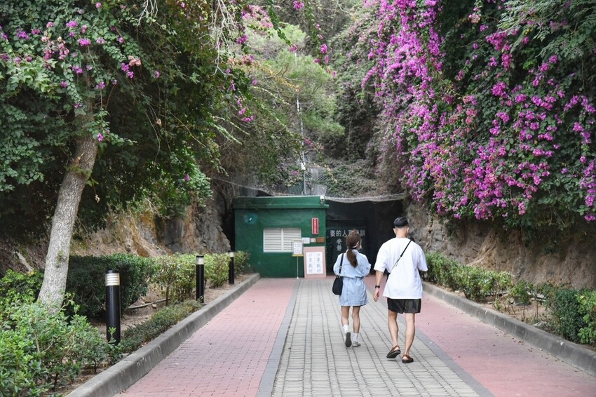 2022冬遊金門|金門三天兩夜吃喝玩樂大推薦 金門第一租車品牌 金豐租車優質服務 金門大橋開通現場直擊!西莉亞玩樂人生 110.jpeg